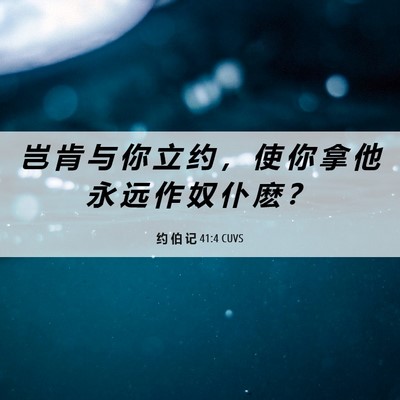 Picture 06 - 约 伯 记 41:4 CUVS - 岂 肯 与 你 立 约 ， 使 你 拿 他 永 - Bible Verse Picture