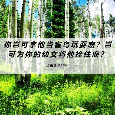 Picture 06 - 约 伯 记 41:5 CUVS - 你 岂 可 拿 他 当 雀 鸟 玩 耍 麽 ？ - Bible Verse Picture