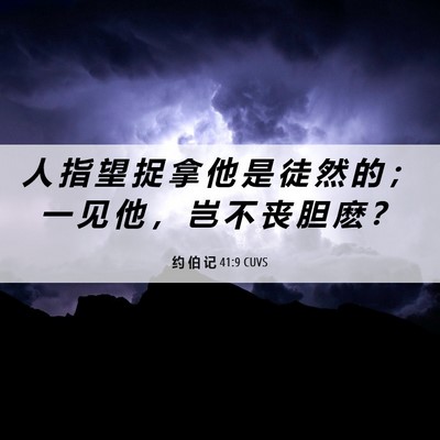 Picture 06 - 约 伯 记 41:9 CUVS - 人 指 望 捉 拿 他 是 徒 然 的 ； 一 - Bible Verse Picture