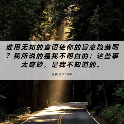 Picture 06 - 约 伯 记 42:3 CUVS - 谁 用 无 知 的 言 语 使 你 的 旨 意 - Bible Verse Picture