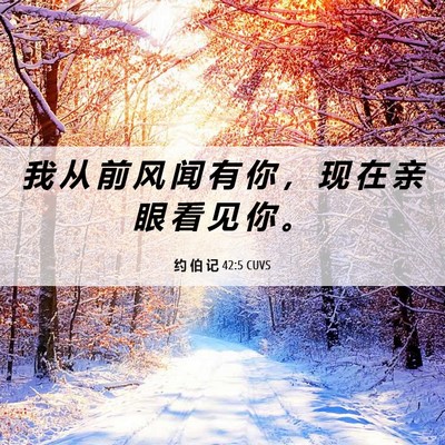 Picture 06 - 约 伯 记 42:5 CUVS - 我 从 前 风 闻 有 你 ， 现 在 亲 眼 - Bible Verse Picture