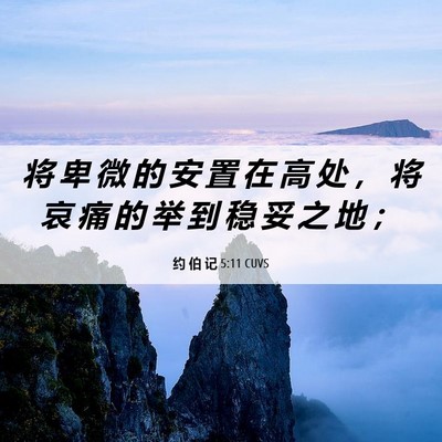 Picture 06 - 约 伯 记 5:11 CUVS - 将 卑 微 的 安 置 在 高 处 ， 将 哀 - Bible Verse Picture
