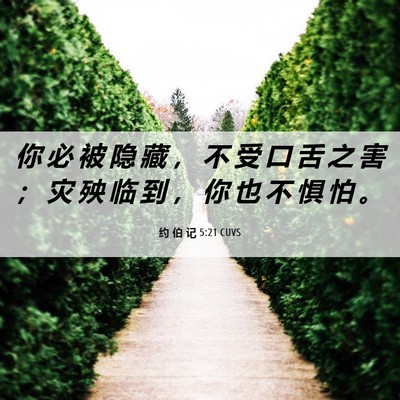 Picture 06 - 约 伯 记 5:21 CUVS - 你 必 被 隐 藏 ， 不 受 口 舌 之 害 - Bible Verse Picture