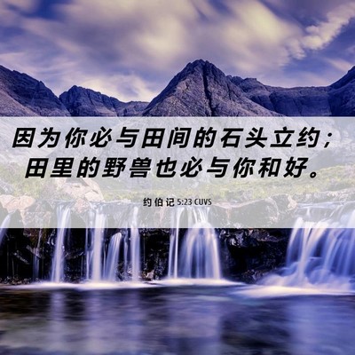 Picture 06 - 约 伯 记 5:23 CUVS - 因 为 你 必 与 田 间 的 石 头 立 约 - Bible Verse Picture