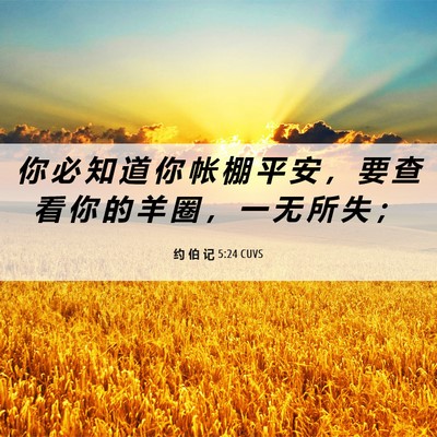 Picture 06 - 约 伯 记 5:24 CUVS - 你 必 知 道 你 帐 棚 平 安 ， 要 查 - Bible Verse Picture
