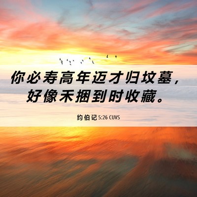 Picture 06 - 约 伯 记 5:26 CUVS - 你 必 寿 高 年 迈 才 归 坟 墓 ， 好 - Bible Verse Picture