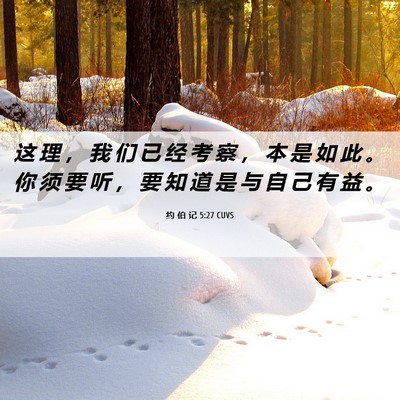 Picture 06 - 约 伯 记 5:27 CUVS - 这 理 ， 我 们 已 经 考 察 ， 本 是 - Bible Verse Picture