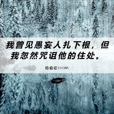 Picture 06 - 约 伯 记 5:3 CUVS - 我 曾 见 愚 妄 人 扎 下 根 ， 但 我 - Bible Verse Picture