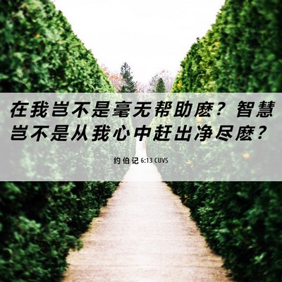 Picture 06 - 约 伯 记 6:13 CUVS - 在 我 岂 不 是 毫 无 帮 助 麽 ？ 智 - Bible Verse Picture