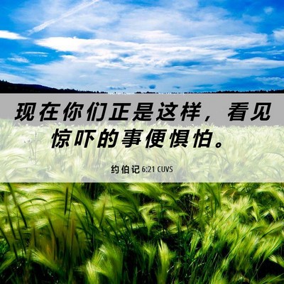 Picture 06 - 约 伯 记 6:21 CUVS - 现 在 你 们 正 是 这 样 ， 看 见 惊 - Bible Verse Picture