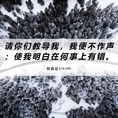 Picture 06 - 约 伯 记 6:24 CUVS - 请 你 们 教 导 我 ， 我 便 不 作 声 - Bible Verse Picture
