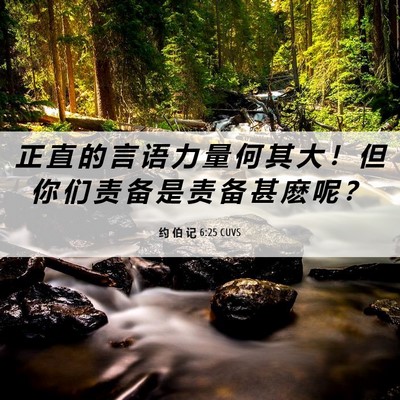 Picture 06 - 约 伯 记 6:25 CUVS - 正 直 的 言 语 力 量 何 其 大 ！ 但 - Bible Verse Picture
