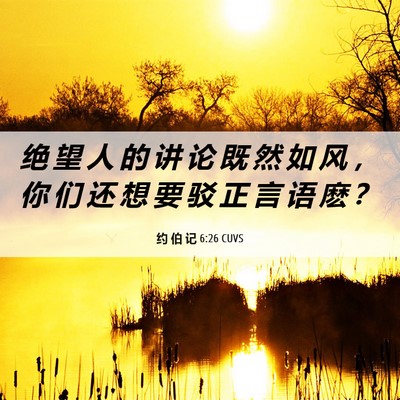 Picture 06 - 约 伯 记 6:26 CUVS - 绝 望 人 的 讲 论 既 然 如 风 ， 你 - Bible Verse Picture