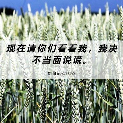 Picture 06 - 约 伯 记 6:28 CUVS - 现 在 请 你 们 看 看 我 ， 我 决 不 - Bible Verse Picture