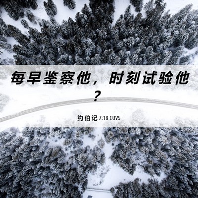 Picture 06 - 约 伯 记 7:18 CUVS - 每 早 鉴 察 他 ， 时 刻 试 验 他 - Bible Verse Picture
