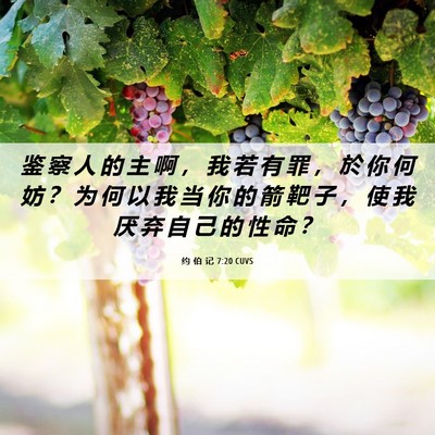 Picture 06 - 约 伯 记 7:20 CUVS - 鉴 察 人 的 主 啊 ， 我 若 有 罪 ， - Bible Verse Picture