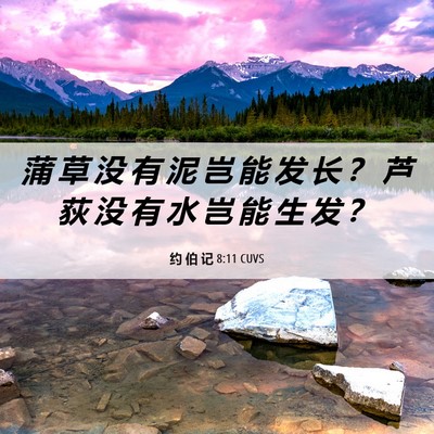 Picture 06 - 约 伯 记 8:11 CUVS - 蒲 草 没 有 泥 岂 能 发 长 ？ 芦 荻 - Bible Verse Picture