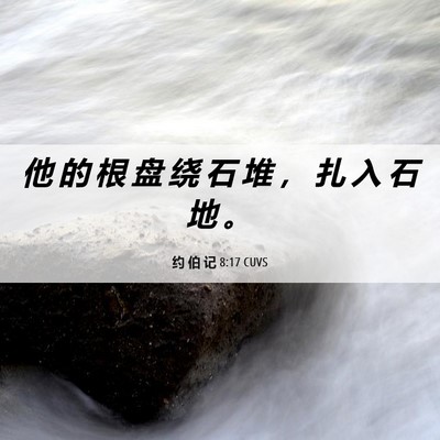 Picture 06 - 约 伯 记 8:17 CUVS - 他 的 根 盘 绕 石 堆 ， 扎 入 石 地 - Bible Verse Picture