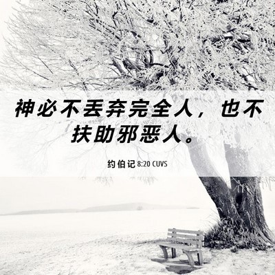 Picture 06 - 约 伯 记 8:20 CUVS - 神 必 不 丢 弃 完 全 人 ， 也 不 扶 - Bible Verse Picture
