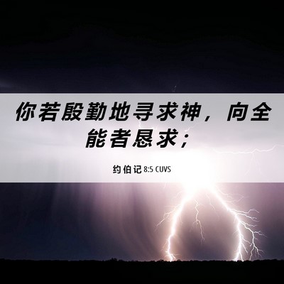 Picture 06 - 约 伯 记 8:5 CUVS - 你 若 殷 勤 地 寻 求 神 ， 向 全 能 - Bible Verse Picture
