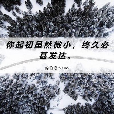 Picture 06 - 约 伯 记 8:7 CUVS - 你 起 初 虽 然 微 小 ， 终 久 必 甚 - Bible Verse Picture