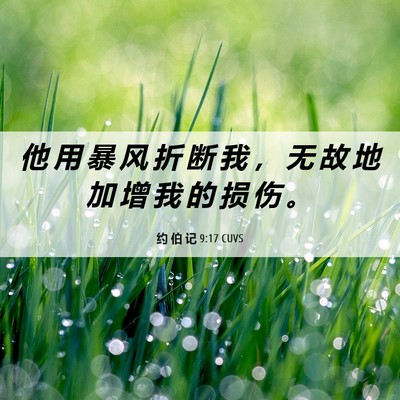 Picture 06 - 约 伯 记 9:17 CUVS - 他 用 暴 风 折 断 我 ， 无 故 地 加 - Bible Verse Picture