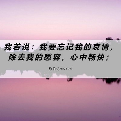 Picture 06 - 约 伯 记 9:27 CUVS - 我 若 说 ： 我 要 忘 记 我 的 哀 情 - Bible Verse Picture