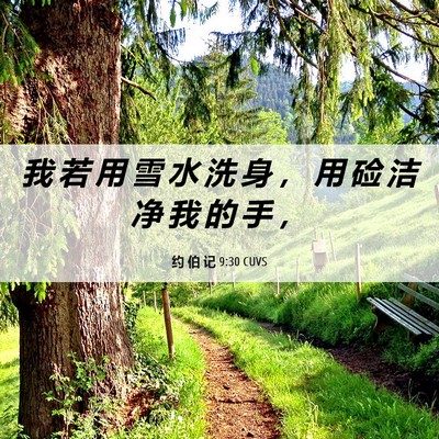 Picture 06 - 约 伯 记 9:30 CUVS - 我 若 用 雪 水 洗 身 ， 用 硷 洁 净 - Bible Verse Picture