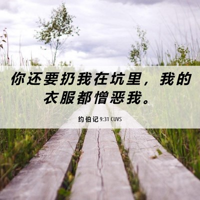 Picture 06 - 约 伯 记 9:31 CUVS - 你 还 要 扔 我 在 坑 里 ， 我 的 衣 - Bible Verse Picture