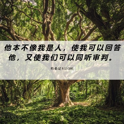 Picture 06 - 约 伯 记 9:32 CUVS - 他 本 不 像 我 是 人 ， 使 我 可 以 - Bible Verse Picture