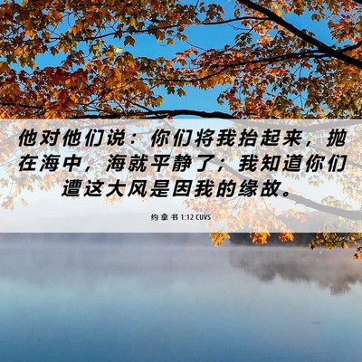 Picture 06 - 约 拿 书 1:12 CUVS - 他 对 他 们 说 ： 你 们 将 我 抬 起 - Bible Verse Picture
