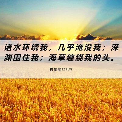 Picture 06 - 约 拿 书 2:5 CUVS - 诸 水 环 绕 我 ， 几 乎 淹 没 我 ； - Bible Verse Picture