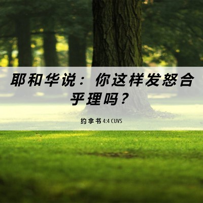 Picture 06 - 约 拿 书 4:4 CUVS - 耶 和 华 说 ： 你 这 样 发 怒 合 乎 - Bible Verse Picture