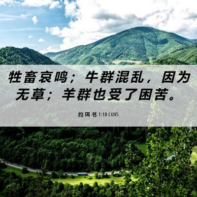 Picture 06 - 约 珥 书 1:18 CUVS - 牲 畜 哀 鸣 ； 牛 群 混 乱 ， 因 为 - Bible Verse Picture
