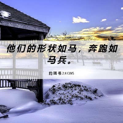 Picture 06 - 约 珥 书 2:4 CUVS - 他 们 的 形 状 如 马 ， 奔 跑 如 马 - Bible Verse Picture