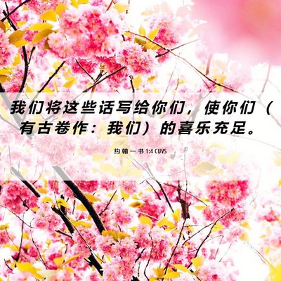 Picture 06 - 约 翰 一 书 1:4 CUVS - 我 们 将 这 些 话 写 给 你 们 ， 使 - Bible Verse Picture