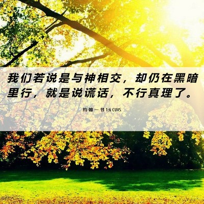 Picture 06 - 约 翰 一 书 1:6 CUVS - 我 们 若 说 是 与 神 相 交 ， 却 仍 - Bible Verse Picture