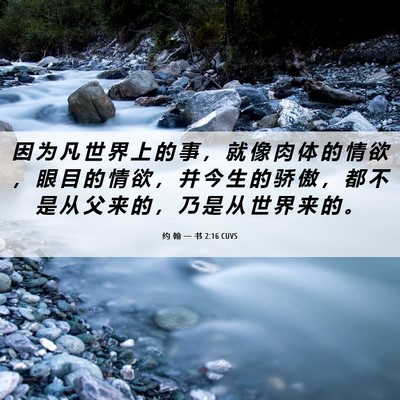 Picture 06 - 约 翰 一 书 2:16 CUVS - 因 为 凡 世 界 上 的 事 ， 就 像 肉 - Bible Verse Picture