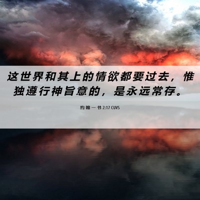 Picture 06 - 约 翰 一 书 2:17 CUVS - 这 世 界 和 其 上 的 情 欲 都 要 过 - Bible Verse Picture
