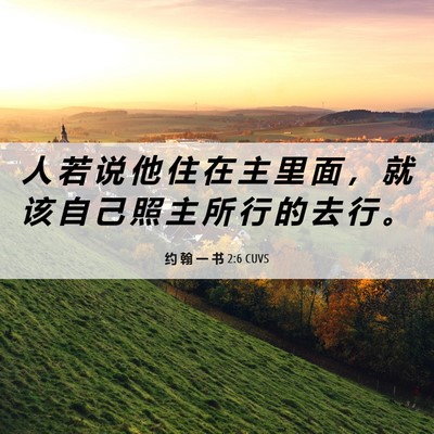 Picture 06 - 约 翰 一 书 2:6 CUVS - 人 若 说 他 住 在 主 里 面 ， 就 该 - Bible Verse Picture