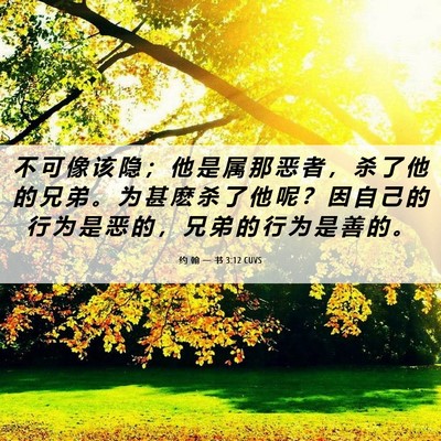 Picture 06 - 约 翰 一 书 3:12 CUVS - 不 可 像 该 隐 ； 他 是 属 那 恶 者 - Bible Verse Picture