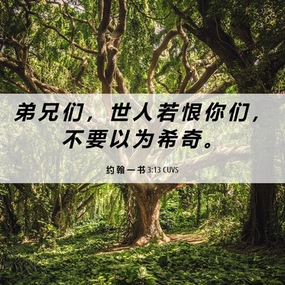 Picture 06 - 约 翰 一 书 3:13 CUVS - 弟 兄 们 ， 世 人 若 恨 你 们 ， 不 - Bible Verse Picture