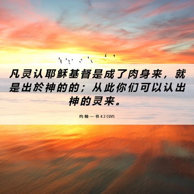 Picture 06 - 约 翰 一 书 4:2 CUVS - 凡 灵 认 耶 稣 基 督 是 成 了 肉 身 - Bible Verse Picture