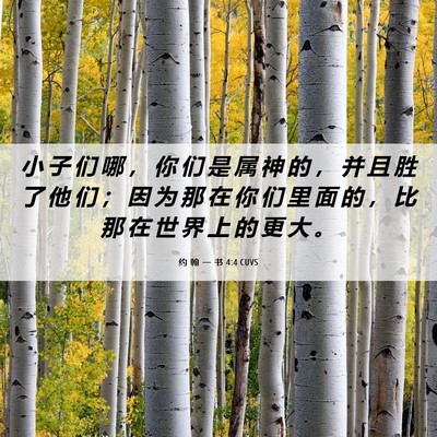 Picture 06 - 约 翰 一 书 4:4 CUVS - 小 子 们 哪 ， 你 们 是 属 神 的 ， - Bible Verse Picture