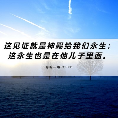Picture 06 - 约 翰 一 书 5:11 CUVS - 这 见 证 就 是 神 赐 给 我 们 永 生 - Bible Verse Picture