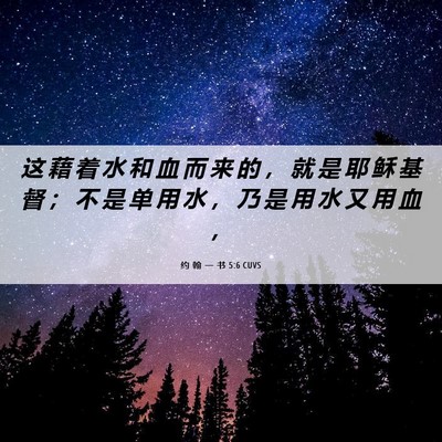 Picture 06 - 约 翰 一 书 5:6 CUVS - 这 藉 着 水 和 血 而 来 的 ， 就 是 - Bible Verse Picture