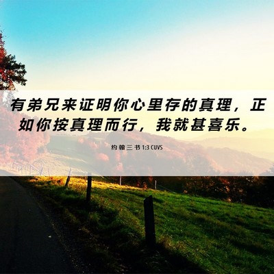 Picture 06 - 约 翰 三 书 1:3 CUVS - 有 弟 兄 来 证 明 你 心 里 存 的 真 - Bible Verse Picture