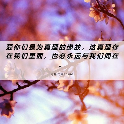 Picture 06 - 约 翰 二 书 1:2 CUVS - 爱 你 们 是 为 真 理 的 缘 故 ， 这 - Bible Verse Picture