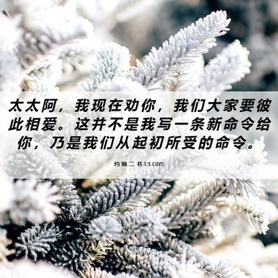 Picture 06 - 约 翰 二 书 1:5 CUVS - 太 太 阿 ， 我 现 在 劝 你 ， 我 们 - Bible Verse Picture