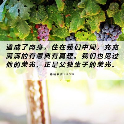Picture 06 - 约 翰 福 音 1:14 CUVS - 道 成 了 肉 身 ， 住 在 我 们 中 间 - Bible Verse Picture